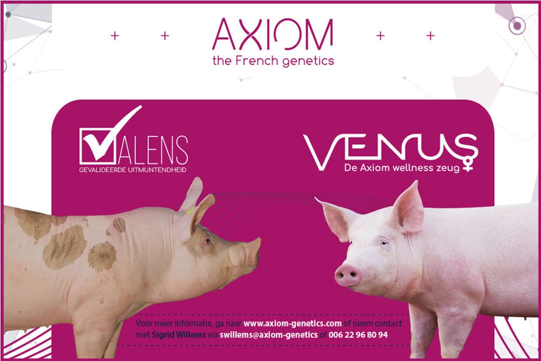 Foto: Axiom