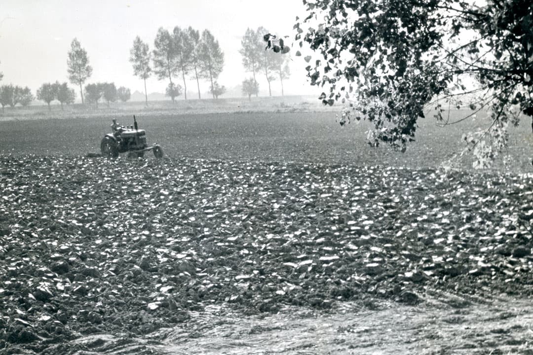 De trekker op de foto is een Farmall. Die werden in 1965 al niet heel veel meer gebruikt. Bij het schroot stonden ze echter ook nog niet. Je kon er nog prima meer ploegen bijvoorbeeld. Dat het minder snel ging dan met de grotere trekkers, bleek geen nadeel. Het leverde vaak een betere ploegvoor op. - Foto: Misset