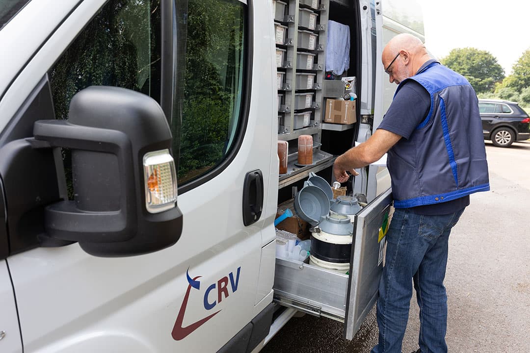 Een inseminator van CRV aan het werk op een melkveebedrijf. - Foto: Herbert Wiggerman