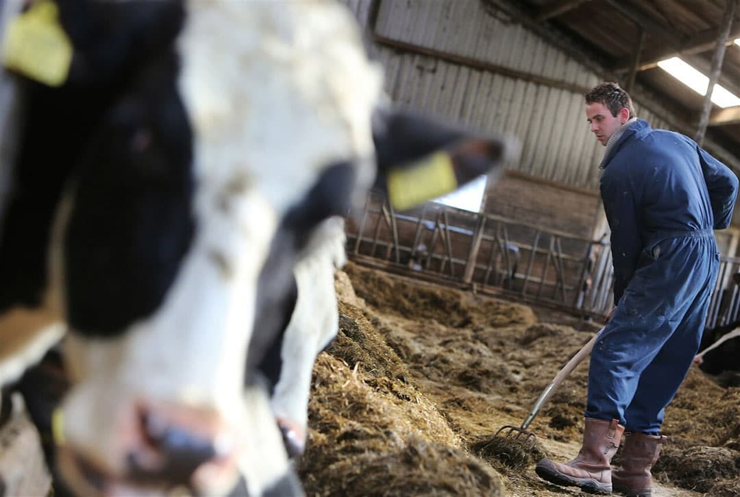Het kabinet wil bedrijfsopvolging eenvoudiger en eerlijker maken. - Foto: ANP