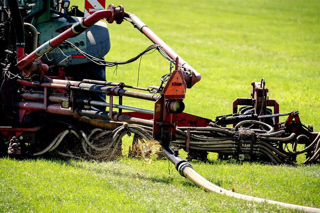 De rechtbank veroordeelde Bergs Advies voor overtredingen op het gebied van de Wet milieubeheer en de Meststoffenwet. - Foto: ANP