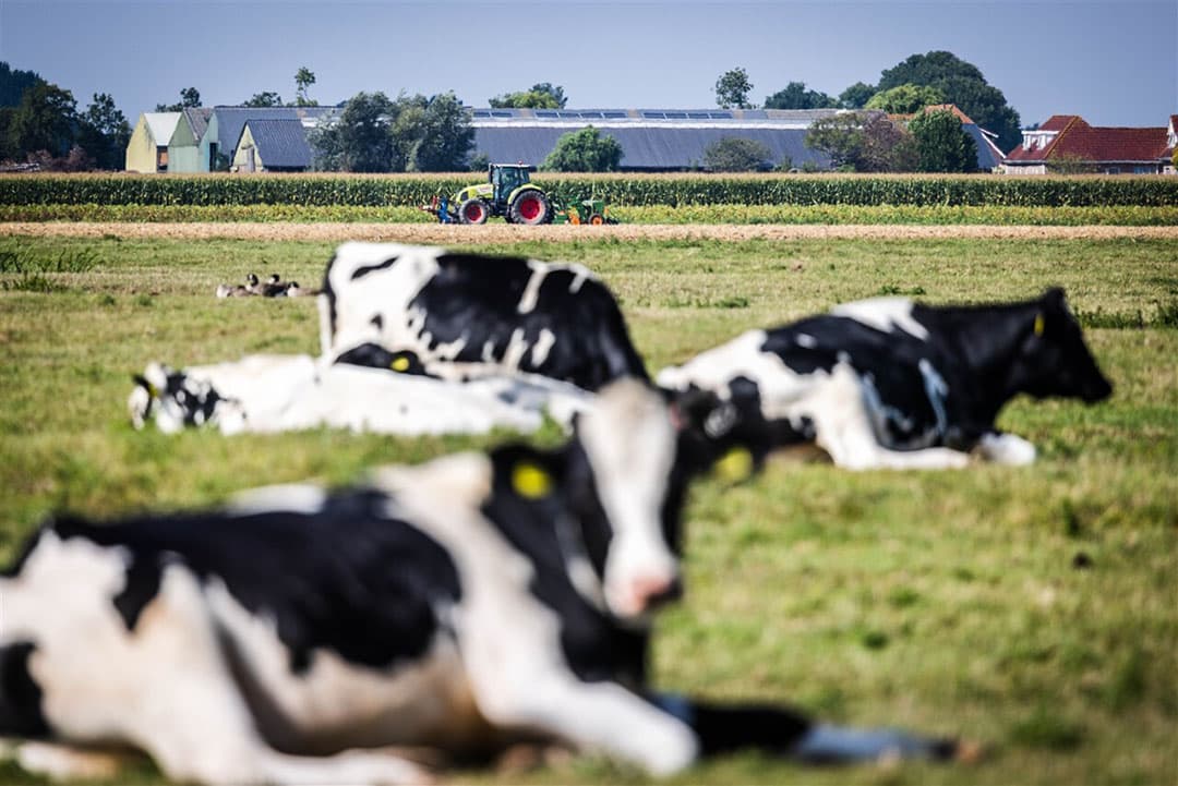 De aanwezigheid van natuur heeft geen invloed op de waardebepaling van boerenbedrijven in het kader van opkoopregelingen. Foto: ANP