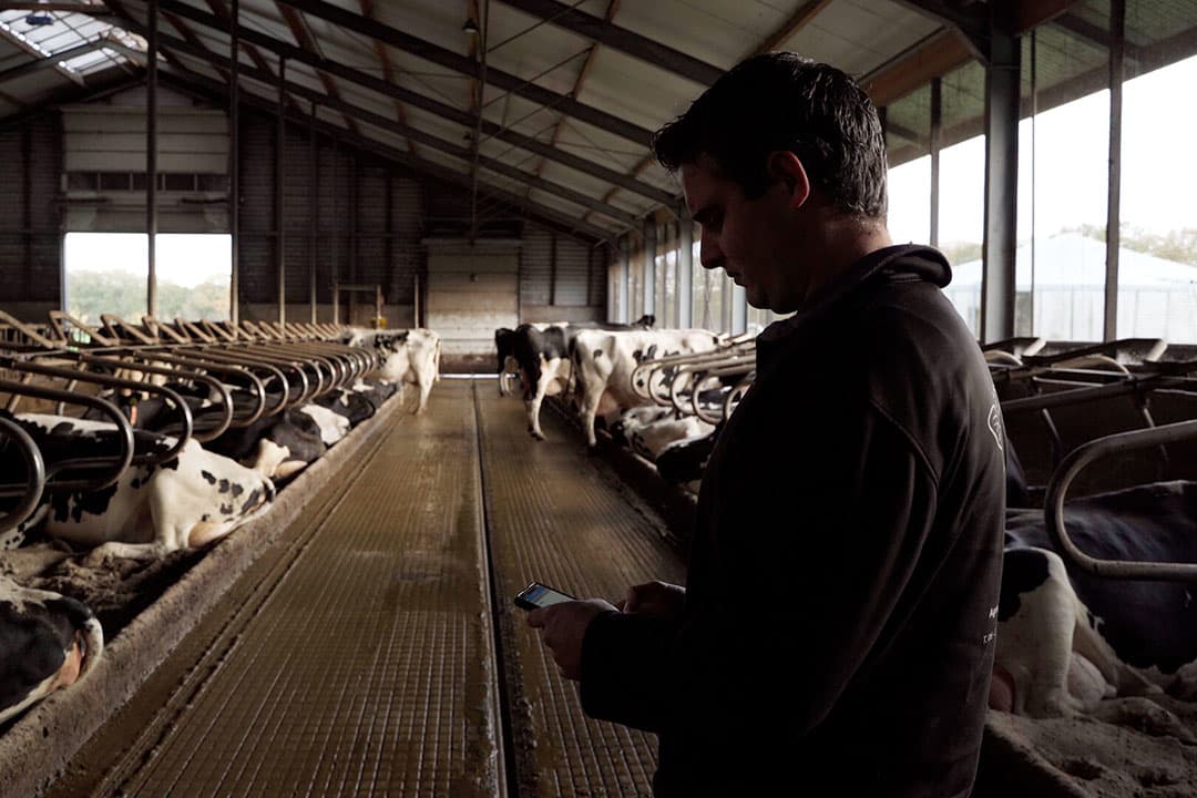 CowVision van Agrovision is een app voor het realtime regelen van alle zaken rondom de melkveeadministratie. Foto: Agrovision