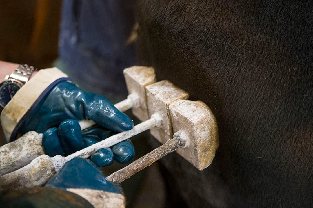 Een verbod op vriesbranden is al in 1996 aangekondigd. - Foto: Anne van der Woude
