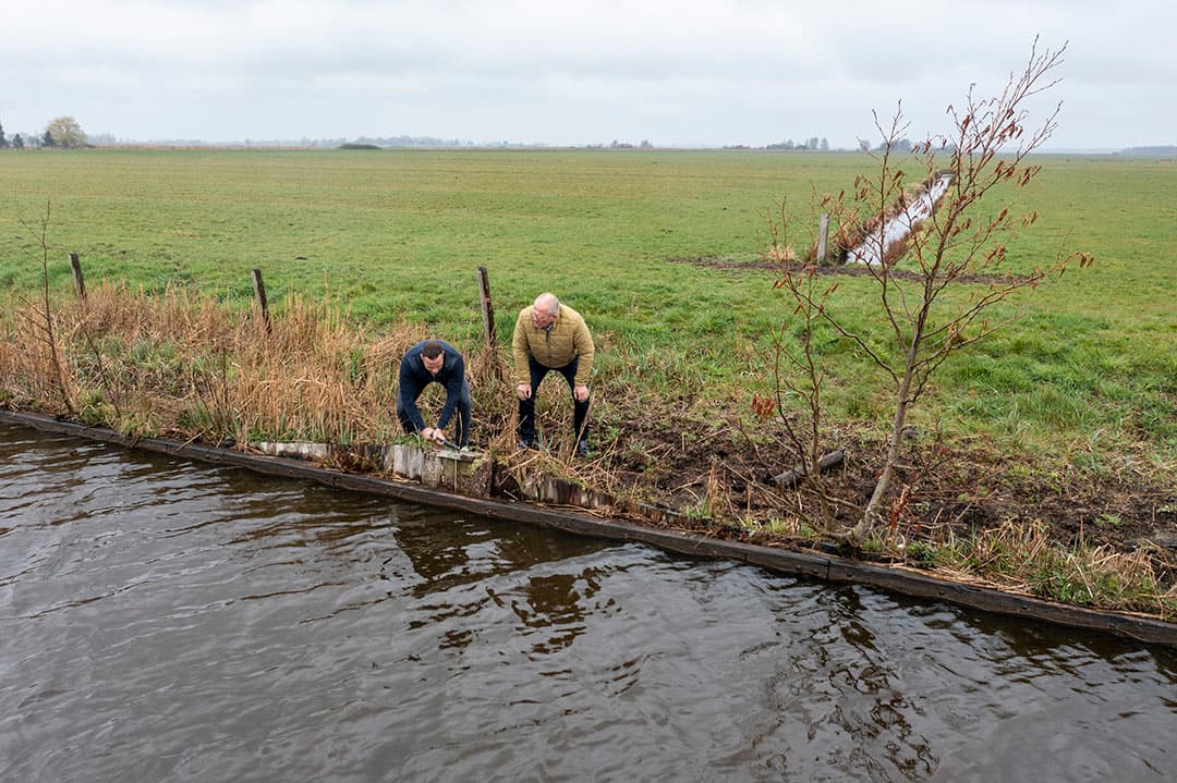 In Friesland draait het project 'Valuta voor Veen', waarbij grondeigenaren en boeren via speciale maatregelen (waterbeheer) de afbraak van veen tegengaan. Ze krijgen hiervoor een vergoeding. - Foto: Anne van der Woude
