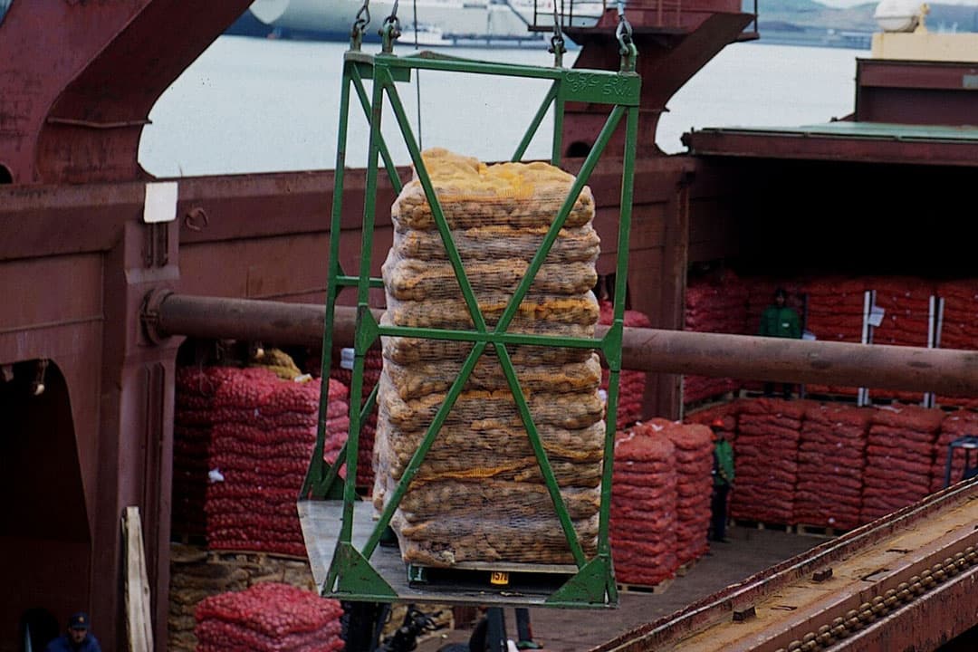Afrika nam iets minder consumptieaardappelen af dan een jaar geleden. - Foto: Mark Pasveer