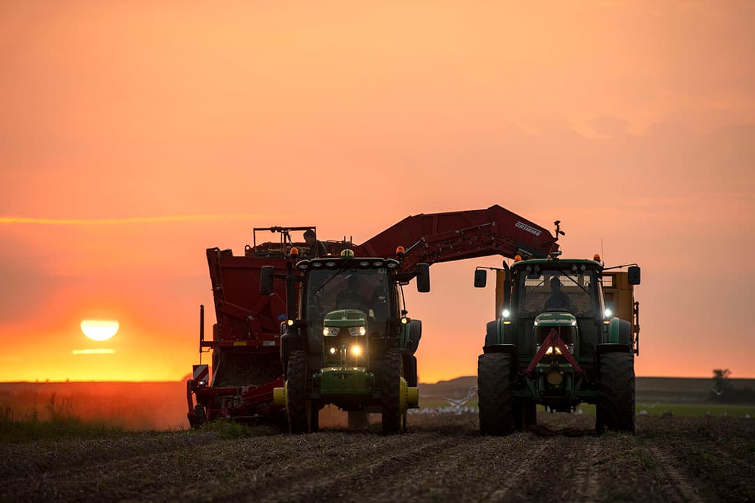 Oogst van pootaardappelen in het Friese Hallum. De akkerbouw lijkt dankzij het gunstige prijsniveau voor de productie bestand tegen de torenhoge kosten van dit jaar. - Foto: Mark Pasveer