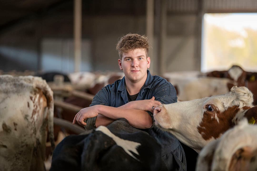 Franks ouders hebben in maatschap 140 melkkoeien op 66 hectare. De bedoeling is dat Frank na het behalen van zijn diploma ook in het bedrijf komt. - Foto's Mark Pasveer