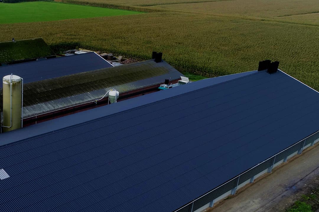 De piekbelasters krijgen de mogelijkheid om 120% van de marktwaarde van hun bedrijf vergoed te krijgen. - Foto: Galama Media