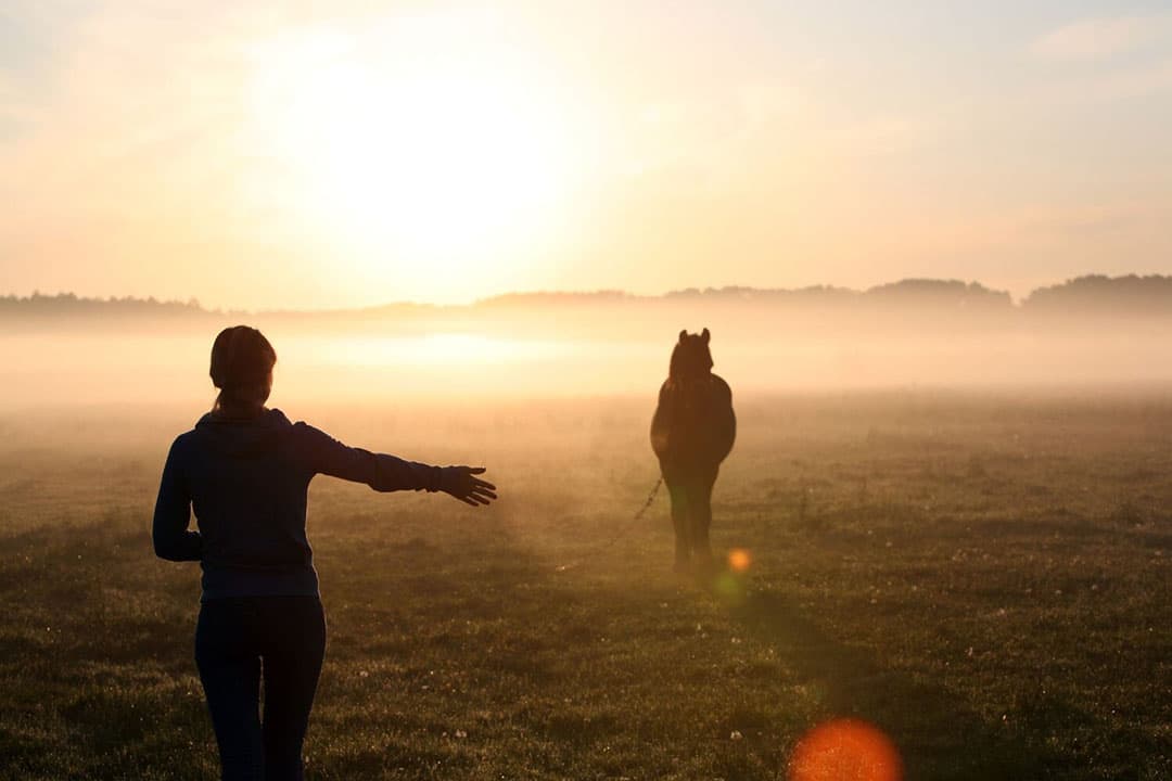 De paardenhouderij is dienstbaar aan de woning want er is sprake van een hobby oordelen rechters onlangs. Dit pakt fiscaal gunstig uit. - Foto: Canva