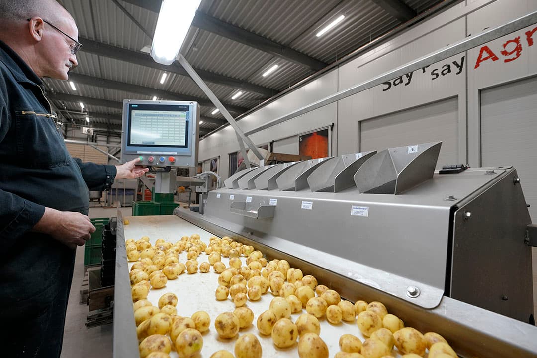 Kwaliteitscontrole bij Agrico in Emmeloord (Fl.). Telers kunnen een hogere uitbetaling tegemoet zien, omdat het bedrijf fors meer omzet draaide. - Foto: Ruud Ploeg