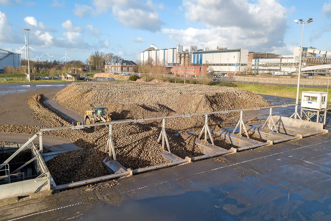 Bieten worden de put ingeschoven om te worden verwerkt. De suikerprijs is ongekend hoog, Cosun verwacht daardoor een fors hogere bietenprijs voor oogst 2022 te kunnen uitbetalen. - Foto's: Peter Roek