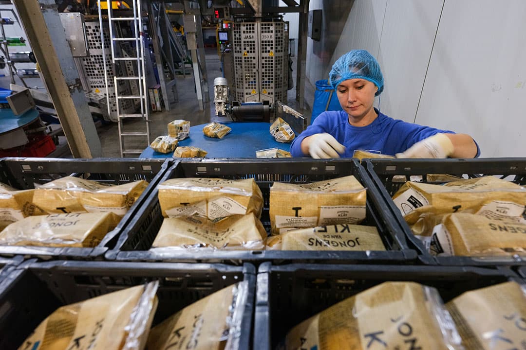 De zakjes aardappelen van het huismerk van Landjuweel, Jongens van de Klei, worden netjes in boxen gelegd. Het ras staat erop vermeld en de kookeigenschappen. - Foto's: Jan-Willem van Vliet