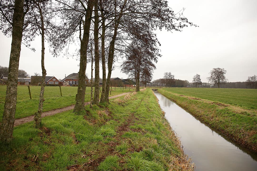 Foto: Hans Prinsen