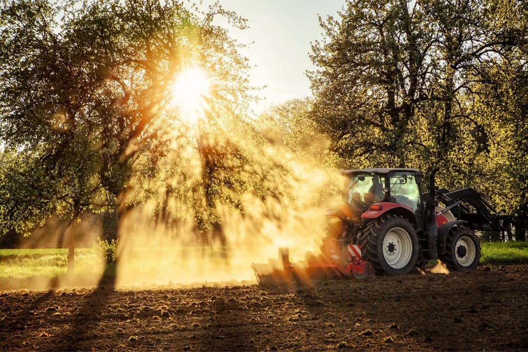 Het Landbouwakkoord moet gaan over de landbouw als economische pijler, alsook de bijdrage die de sector moet leveren aan de opgave van natuurherstel, water en klimaat. - Foto: Canva