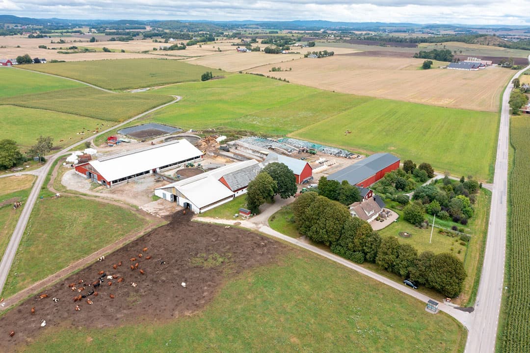 Melkveebedrijf in Zweden