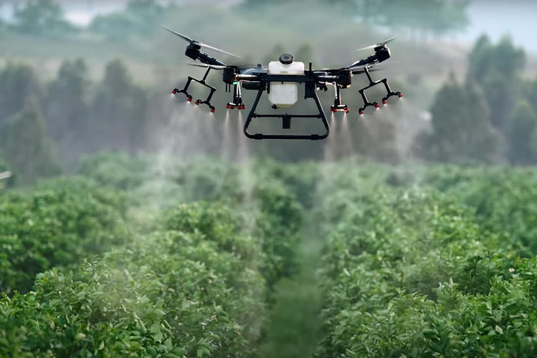 Het gebruik van spuitdrones kan duurzame vormen van gewasbescherming opleveren. - Foto: DJI