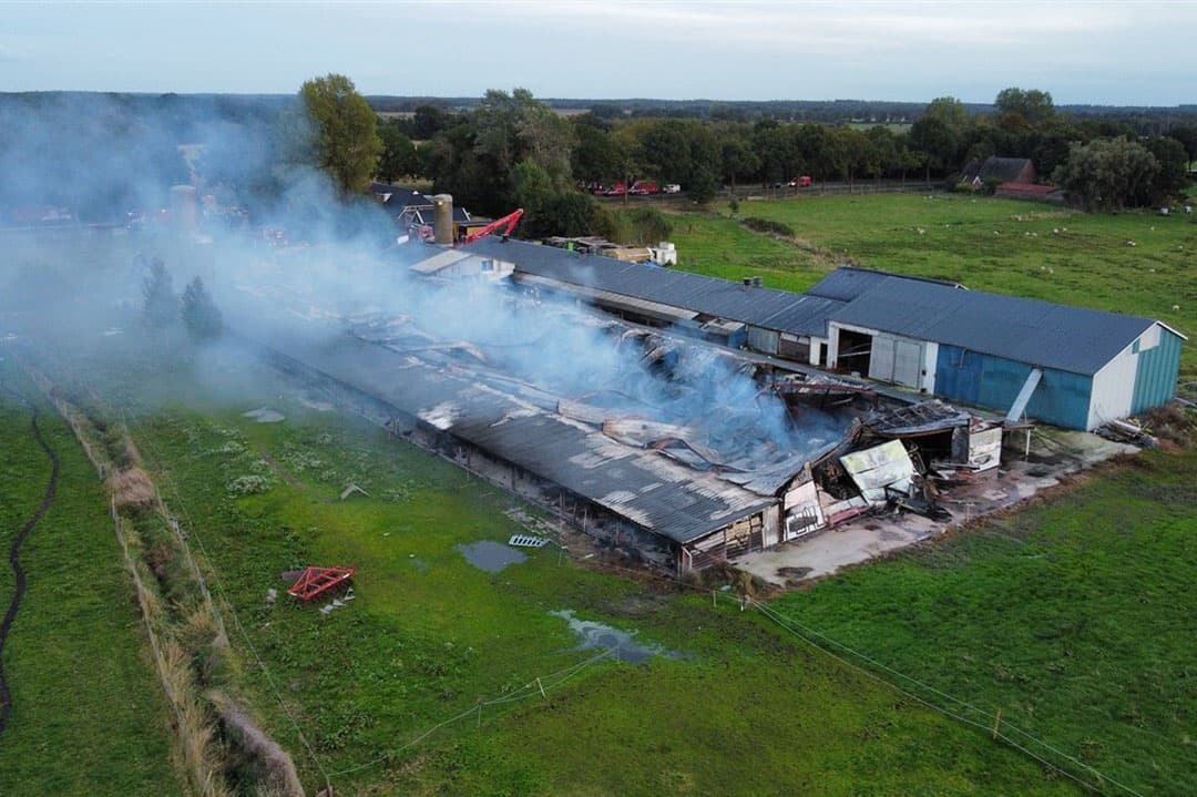 Begin oktober kwamen 28.500 kippen om bij een brand op een pluimveebedrijf in Assen (Dr.). - Foto: ANP