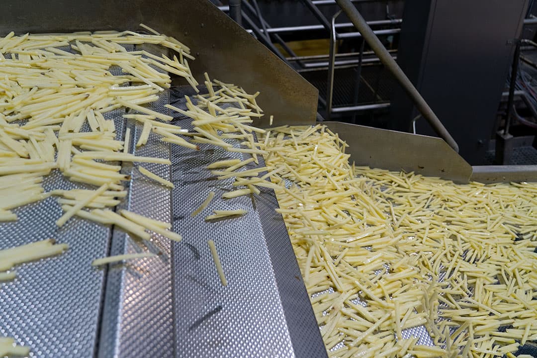 De Nederlandse fritesindustrie verwerkte in oktober meer aardappelen dan in september, en meer kwam van eigen bodem dan vorig jaar.Productie van frites bij Aviko in Steenderen. - Foto: Jan Willem Schouten