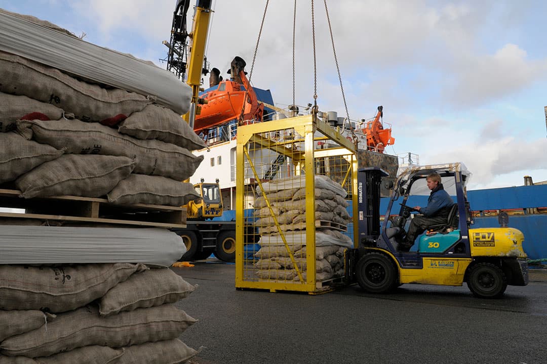 De aardappelexport naar Duitsland verloopt stoef. - Foto: Penn Communicatie