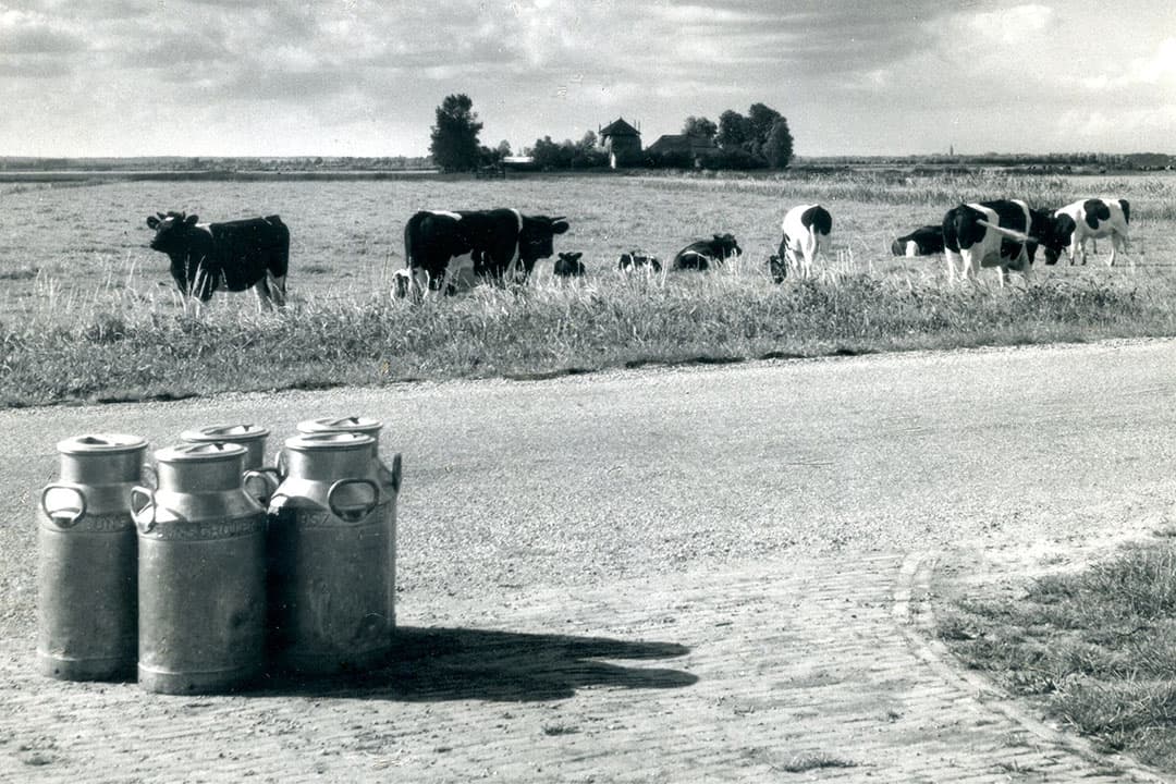 Het ophalen en terugbezorgen van melkbussen vergde een enorme logistieke inzet. Naarmate er meer boeren overstapten op een koeltank, werden de kosten voor de resterende bussenmelkers hoger. Zij kregen daarom te maken met kortingen op hun melkprijs en toeslagen voor het transport. - Foto: Misset