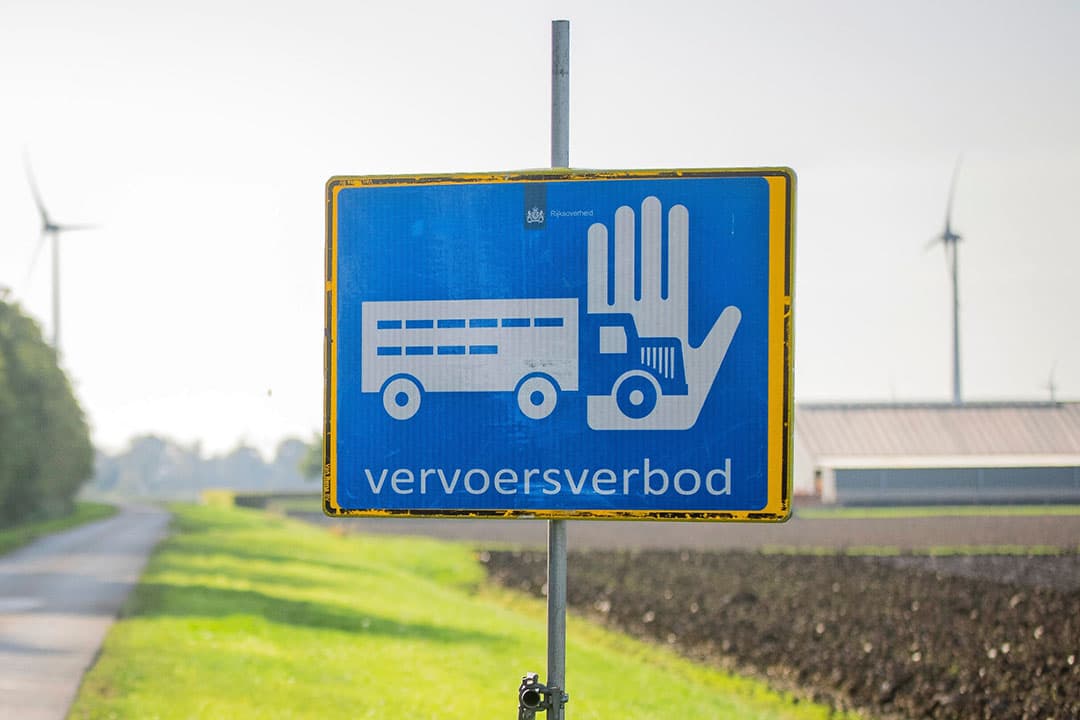 In het gebied rondom Ospel was al een vervoersverbod van kracht vanwege eerdere vogelgriepuitbraken. - Foto: Koos Groenewold