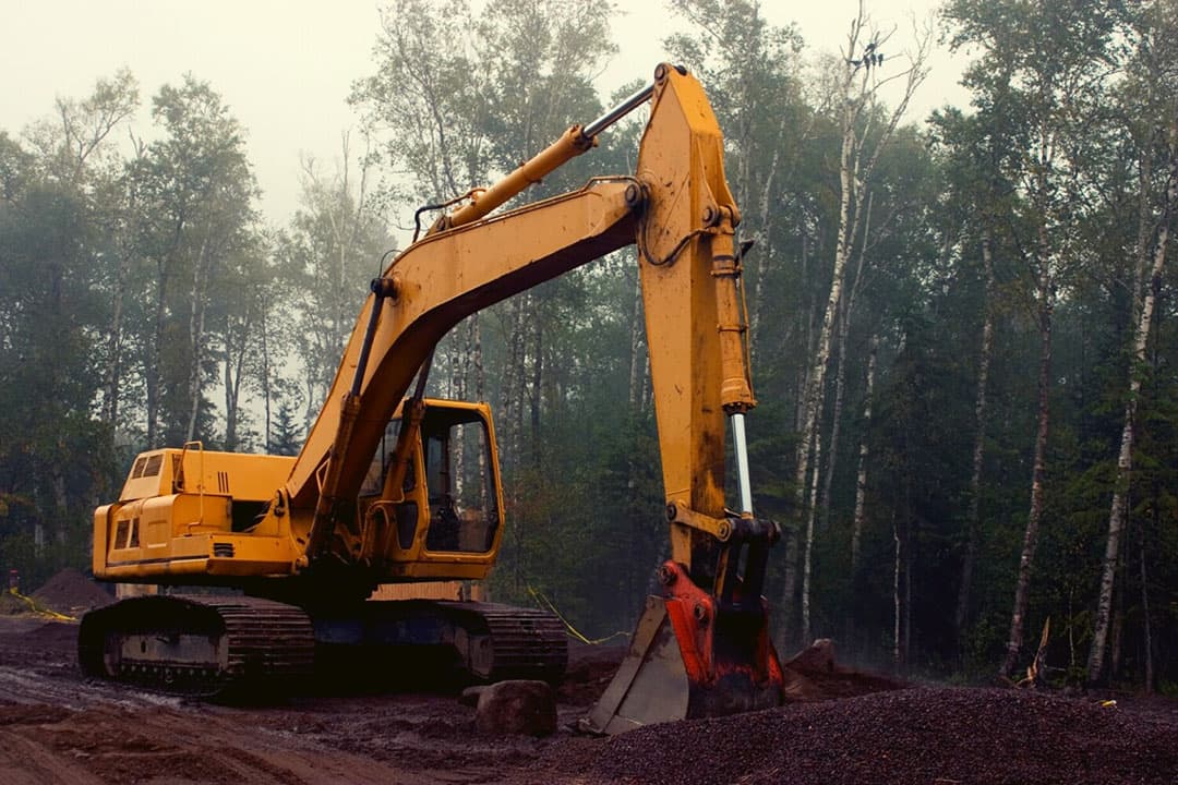 Een gebiedsproces, zoals herstel van een natuurgebied, kost veel tijd én geld. - Foto: Canva/ Getty Images