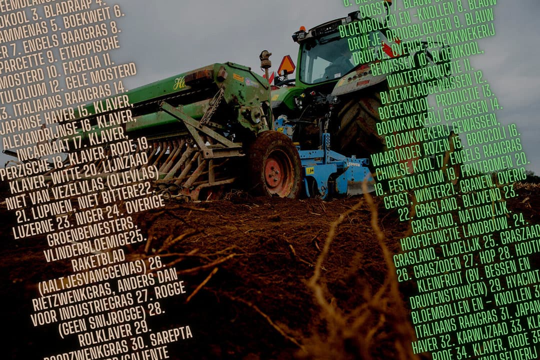 Het inzaaien van een vanggewas voor 1 oktober voorkomt dat boeren gekort worden op hun stikstofgebruiksruimte. Een voorstel voor teelten die hiervan worden uitgezonderd, is reden tot onrust. - Foto: Twan Wiermans