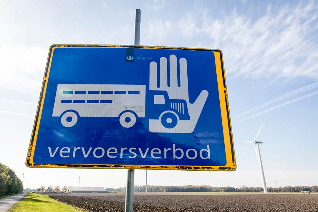 Foto: Koos Groenewold