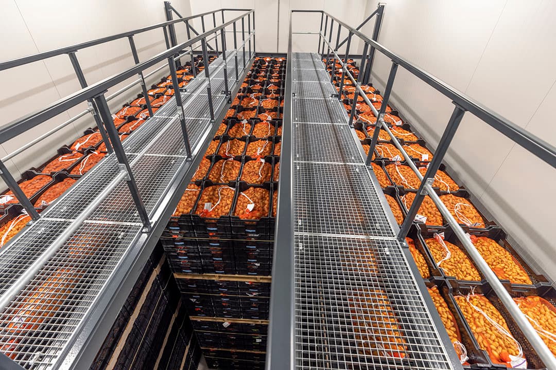 Opslag van de aardappelrassen. Foto: Koos Groenewold
