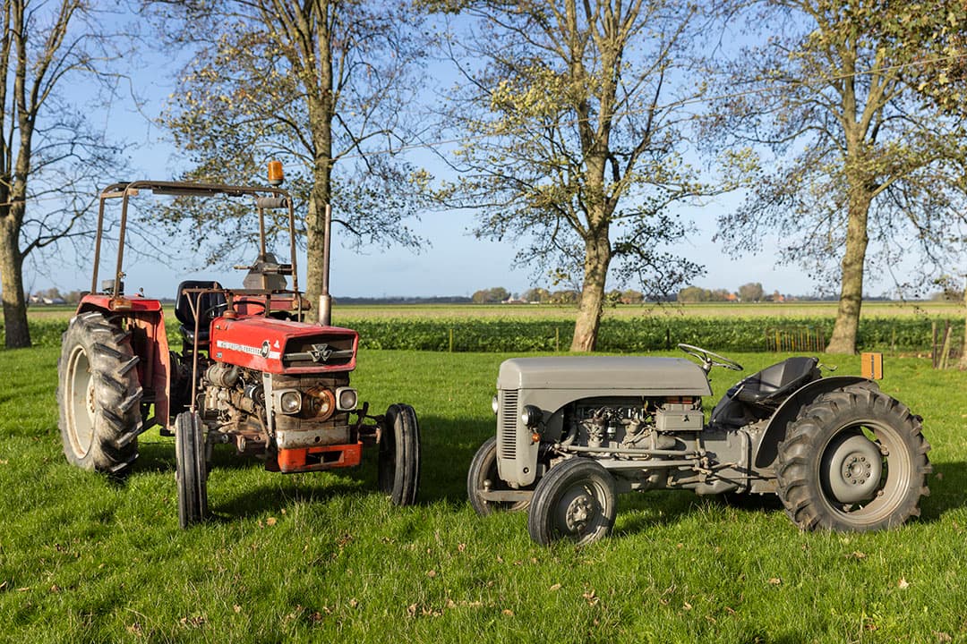 René Hanse nam de de Massey Ferguson 148 (links)  en Ferguson TE 20  over van zijn beide grootvaders. - Foto's: Koos Groenewold