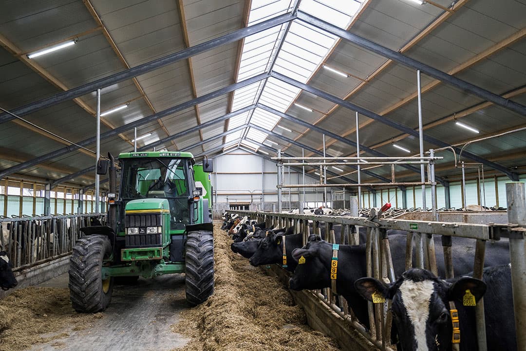 Foto: Jan Willem van Vliet