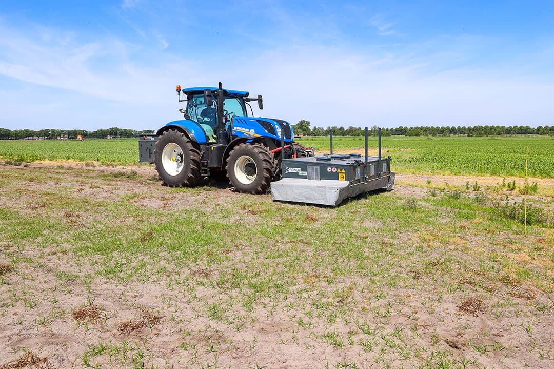 Chemisch bestrijden van knolcyperus is erg moeilijk. Elektrofysische vernietiging werkt, maar vraagt meerdere behandelingen. - Foto: Bert Jansen
