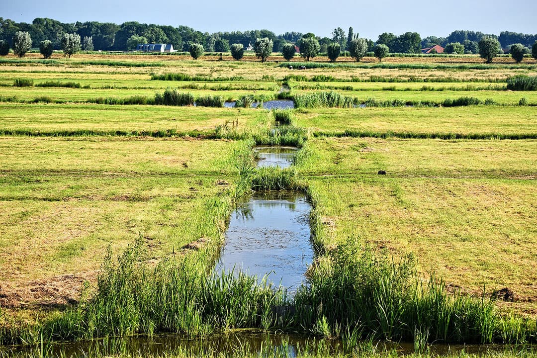 Als boeren het cultuurlandschap niet onderhouden, welke partij doet het dan? Daarover bestaan zorgen bij plattelandsbewoners. - Foto: Pixabay