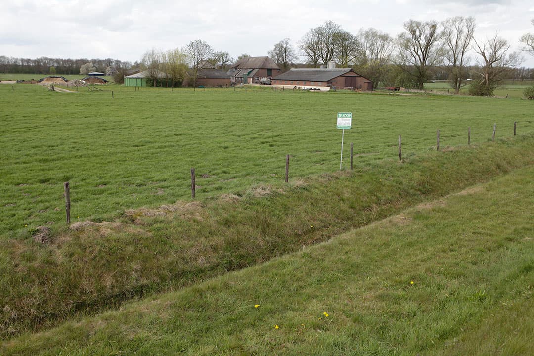 Het lijkt me verstandig dat in het landbouwakkoord emigreren wordt opgenomen, aldus columnist Vergaderboer. - Foto: Michel Zoeter