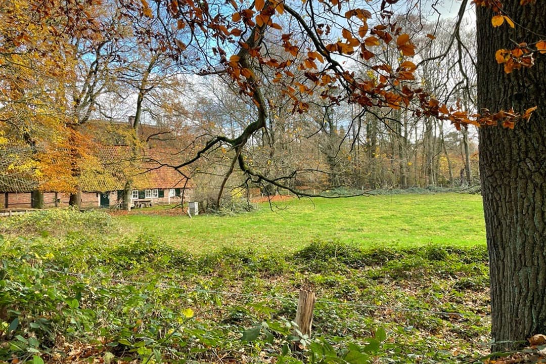 Grootste twistpunt van de natuurherstelwet is het verbod op verslechtering van natuur buiten Natura 2000-gebieden. - Foto: Martijn ter Horst