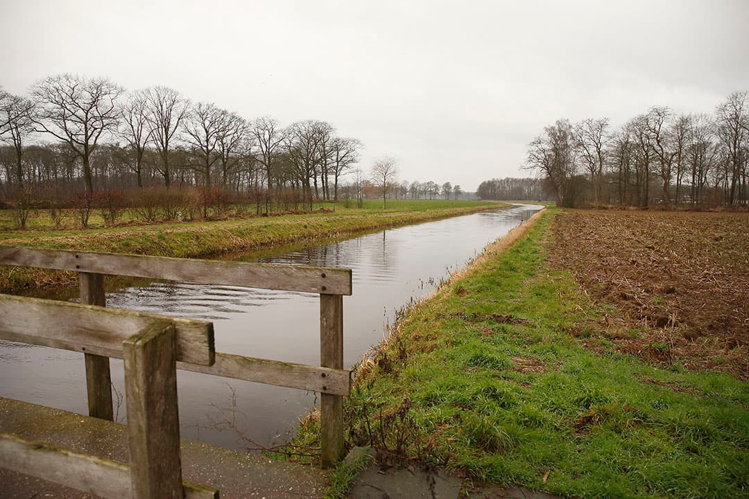 Foto: Hans Prinsen