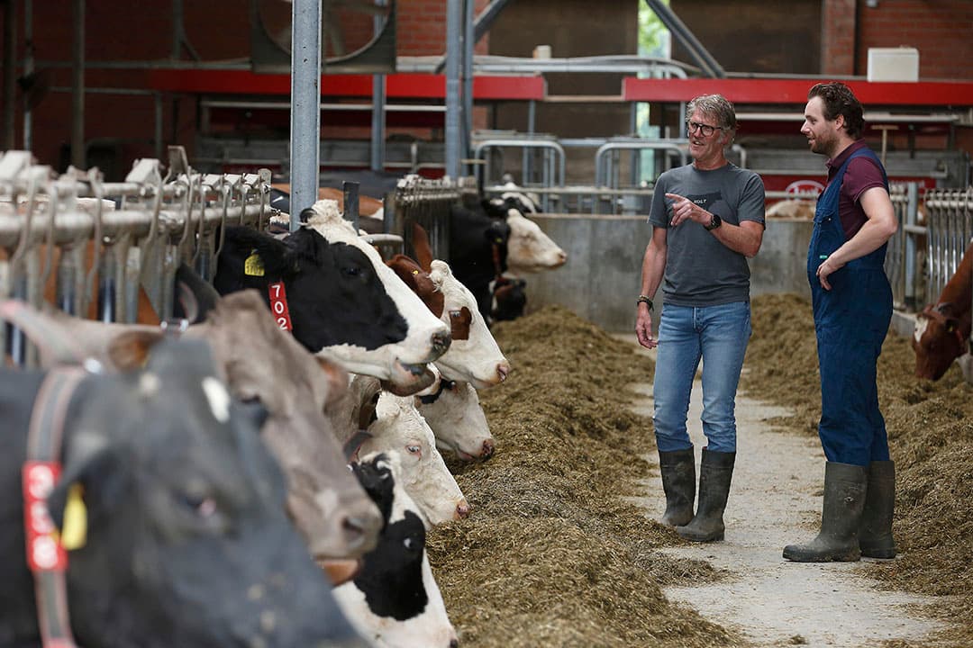 Voor veehouders en hun begeleiders is monitoren en behoud van diergezondheid en melkproductie belangrijk in de stapsgewijze vermindering van het ruweiwitgehalte in het voer. - Foto: Hans Prinsen