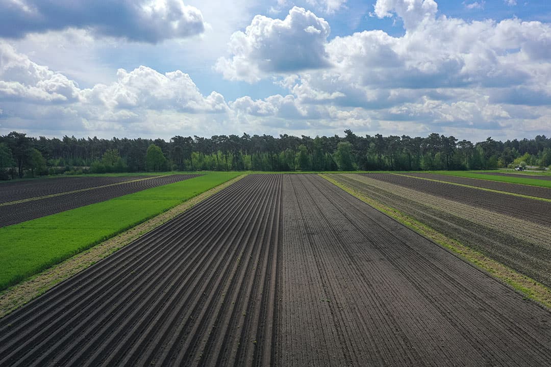 Foto: Peter Roek