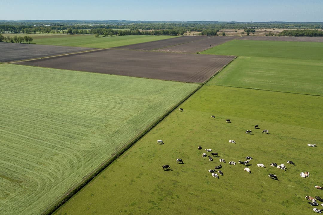 Foto: Koos Groenewold