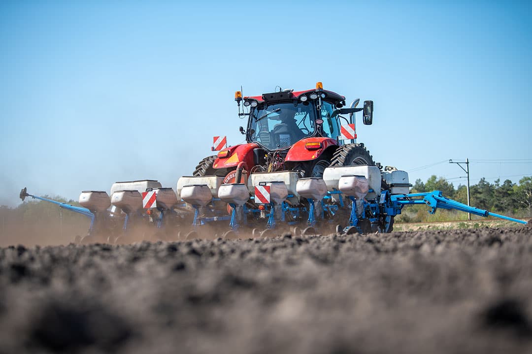 Wie verzekerd wil zijn van een bepaald maisras moet op tijd bestellen, zo melden de maiszaadleveranciers. - Foto: Michel Velderman