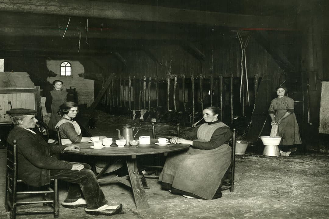 Een los huus ziet er in onze ogen armoedig uit. Toch waren het beslist niet alleen de arme keuterboertjes die zo woonden. Ook de welvarender bedrijven hadden deze vorm. Na 1920 nam het aantal losse huzen snel af. Velen bouwden een muur tussen woon- en staldeel of ze bouwden er een apart woongedeelte bij aan. - Foto: Misset
