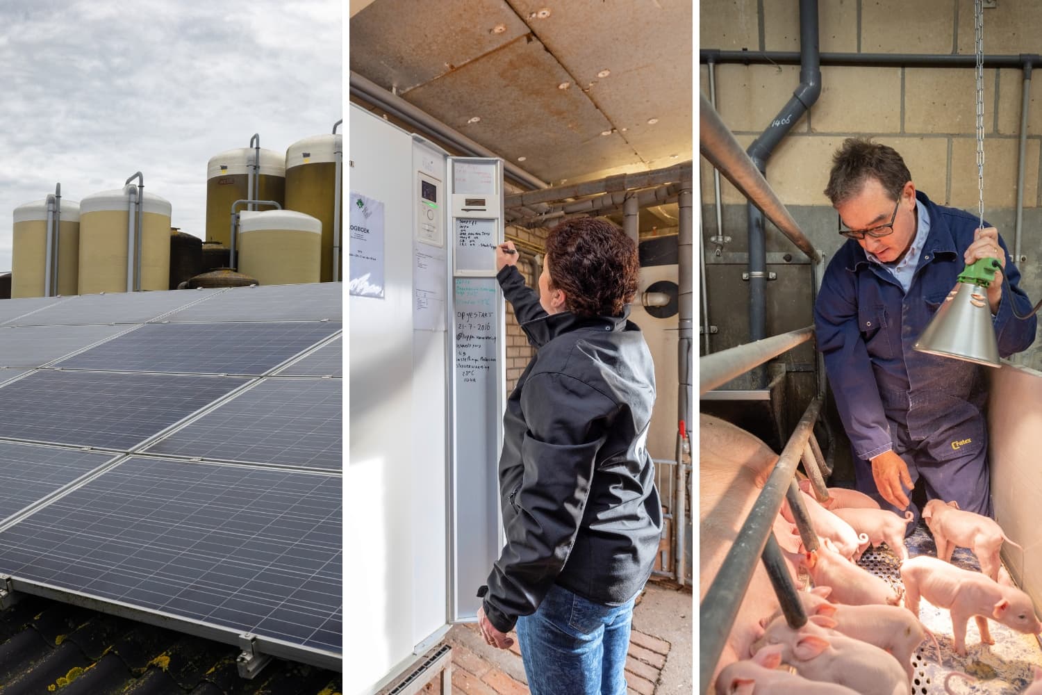 energieneutraal varkensbedrijf