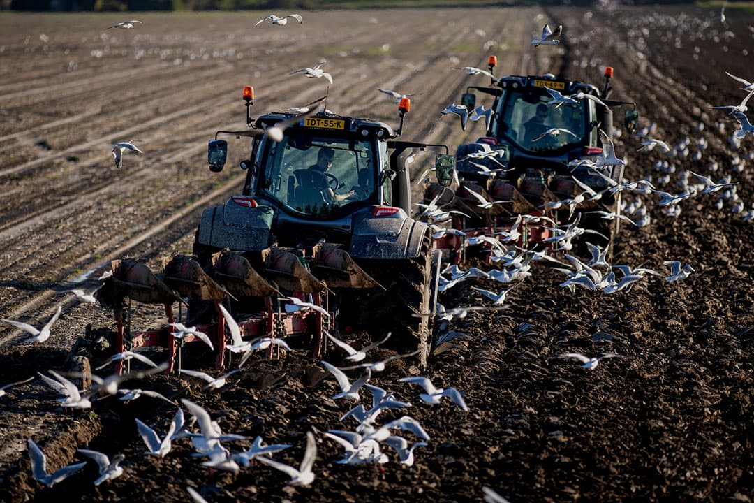 Intentie nieuw GLB; boeren niet dwingen, maar verleiden tot natuurinclusief werken. - Foto: Mark Pasveer