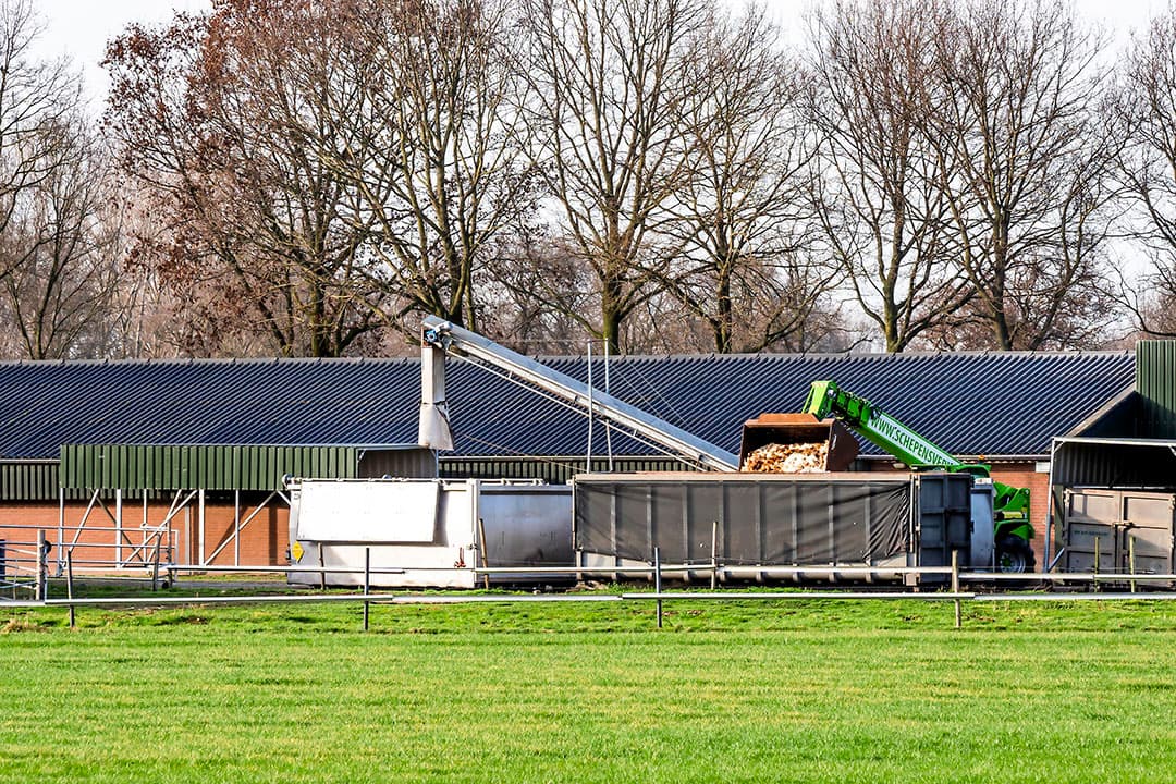 Vogelgriep brak in de afgelopen twaalf maanden op veel pluimveebedrijven uit. - Foto: Bert Jansen