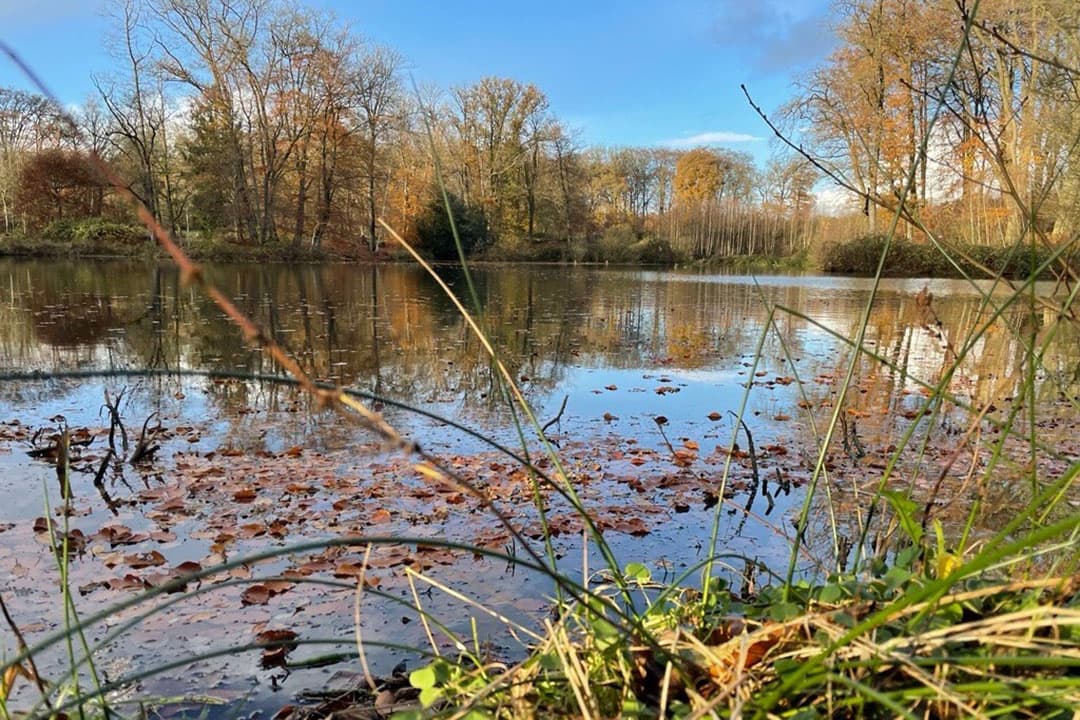 VVD en CDA willen niet dat met de Biodiversiteitsstrategie opnieuw allerlei toekomstige beperkingen in vergunningverlening ontstaan in en rond natuurgebieden. - Foto: Martijn ter Horst