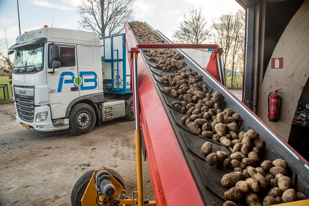 Foto: Koos Groenewold