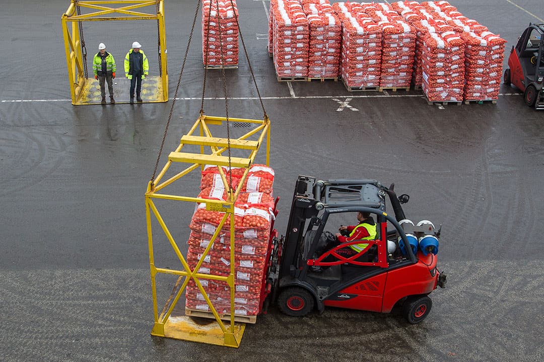 Uien worden geladen voor export. - Foto: Peter Roek