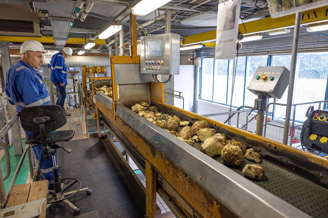 Aanvoer van suikerbuiten bij Cosun Beet Company. - Foto: Peter Roek