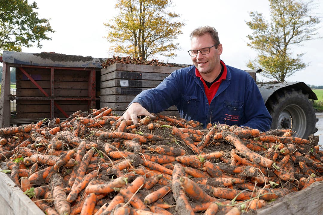 Werner Schulte verwacht gemiddelde peenopbrengsten, maar maakt zich zorgen over muizenschade en de hoge energiekosten. - Foto: Ton Kastermans